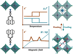 Graphical abstract: Magnetic–dielectric bistabilities and magnetodielectric coupling effects in a new layered hybrid perovskite: (C6H5(CH2)4NH3)2[MnCl4]
