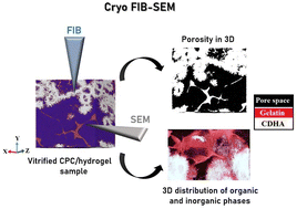 Graphical abstract: Probing the microporosity and 3D spatial distribution of calcium phosphate cement/hydrogel biomaterials using FIB/SEM at cryogenic temperatures