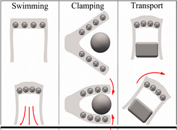 Graphical abstract: Magnetically controlled flexible micro-robots based on magnetic particle arrangement