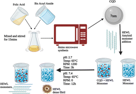 Graphical abstract: A facile one-pot synthesis of water-soluble CQDs for the evaluation of their anti-amyloidogenic propensity