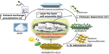 Graphical abstract: Dual-responsive microcapsules with tailorable shells from oppositely charged biopolymers for precise pesticide release