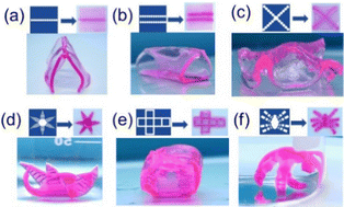 Graphical abstract: Shape deformable hydrogels prepared by altering surface areas with scratching and photolithography patterning methods