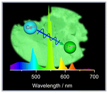 Graphical abstract: Near ultraviolet light excitable highly efficient blue-green multicolour warwickite phosphor, ScCaO(BO3):Ce3+, Tb3+