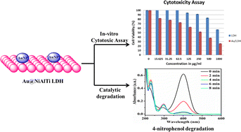 Graphical abstract: Exploring the catalytic degradation of 4-nitrophenol and in vitro cytotoxicity of gold nanoparticle-doped NiAlTi LDH