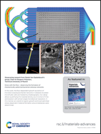 Graphical abstract: Inside back cover