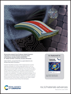 Graphical abstract: Back cover