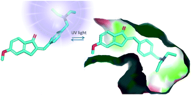 Graphical abstract: Design, synthesis and biological evaluation of light-driven on–off multitarget AChE and MAO-B inhibitors