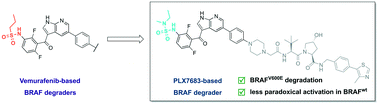 Graphical abstract: Encoding BRAF inhibitor functions in protein degraders