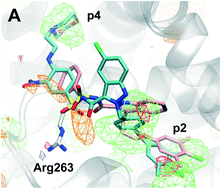 Graphical abstract: Scaffold hopping from indoles to indazoles yields dual MCL-1/BCL-2 inhibitors from MCL-1 selective leads