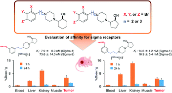 Graphical abstract: Development of tumor-targeting aza-vesamicol derivatives with high affinity for sigma receptors for cancer theranostics