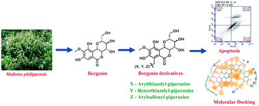 Graphical abstract: Piperazine tethered bergenin heterocyclic hybrids: design, synthesis, anticancer activity, and molecular docking studies