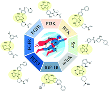 Graphical abstract: 4-Aminopyrazolopyrimidine scaffold and its deformation in the design of tyrosine and serine/threonine kinase inhibitors in medicinal chemistry