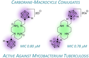 Graphical abstract: Carborane clusters increase the potency of bis-substituted cyclam derivatives against Mycobacterium tuberculosis