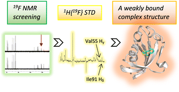 Graphical abstract: 19F chemical library and 19F-NMR for a weakly bound complex structure