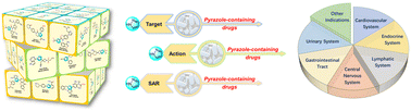 Graphical abstract: Pyrazole-containing pharmaceuticals: target, pharmacological activity, and their SAR studies