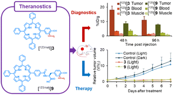 Graphical abstract: Synthesis and evaluation of radiolabeled porphyrin derivatives for cancer diagnoses and their nonradioactive counterparts for photodynamic therapy