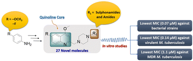 Graphical abstract: Novel quinoline-piperazine hybrids: the design, synthesis and evaluation of antibacterial and antituberculosis properties