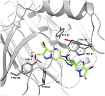 Graphical abstract: The role of adjuvants in overcoming antibacterial resistance due to enzymatic drug modification