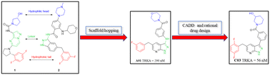 Graphical abstract: Design, synthesis and biological evaluation of pyrazolo[3,4-b]pyridine derivatives as TRK inhibitors