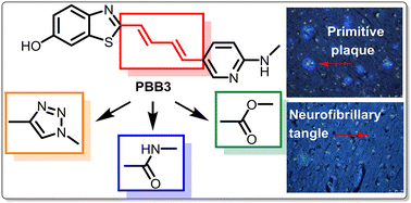 Graphical abstract: Synthesis and structure–activity relationship (SAR) studies of 1,2,3-triazole, amide, and ester-based benzothiazole derivatives as potential molecular probes for tau protein