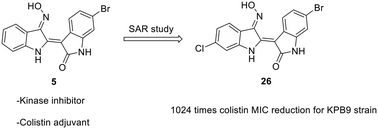 Graphical abstract: 6-Bromoindirubin-3′-oxime derivatives are highly active colistin adjuvants against Klebsiella pneumoniae