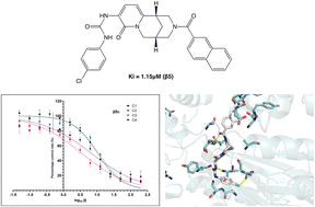 Graphical abstract: Identification of a new class of proteasome inhibitors based on a naphthyl–azotricyclic-urea–phenyl scaffold