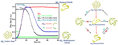 Graphical abstract: A cationic amphiphilic peptide chaperone rescues Aβ42 aggregation and cytotoxicity