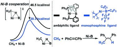 Graphical abstract: Rational design of nickel–borane complexes for methane activation and functionalization