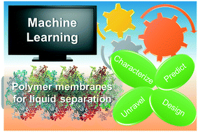 Graphical abstract: Recent development in machine learning of polymer membranes for liquid separation