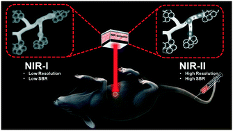 Graphical abstract: Recent advances in D–A–D based Pdots with NIR-II fluorescence for deep-tissue imaging