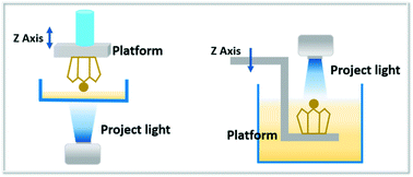 Graphical abstract: Digital light processing 3D printing of hydrogels: a minireview