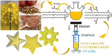 Graphical abstract: State-of-the-art UV-assisted 3D printing via a rapid syringe-extrusion approach for photoactive vegetable oil acrylates produced in one-step synthesis
