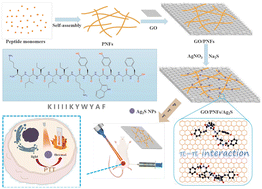 Graphical abstract: Design, biomimetic synthesis, and tumor photothermal therapy of peptide-based two-dimensional photothermal conversion nanomaterials