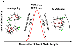 Graphical abstract: Molecular engineering of fluoroether electrolytes for lithium metal batteries