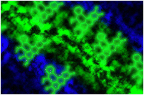 Graphical abstract: A 2,7-dichlorofluorescein derivative to monitor microcalcifications