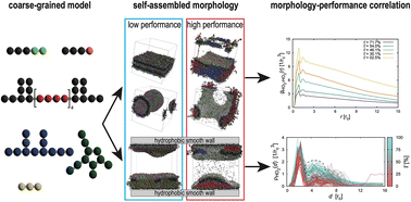 Graphical abstract: Reproduction of super-multicomponent self-assembled structures and their functionality using coarse-grained molecular simulation – the example of cleansing agents