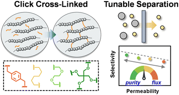Graphical abstract: Tailoring 6FDA-based click cross-linked membranes: modular synthesis and tunable gas separation