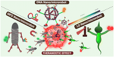 Graphical abstract: A review on fabrication, actuation, and application of magnetic force driven, light driven and DNA nano/microrobots in modern theranostics