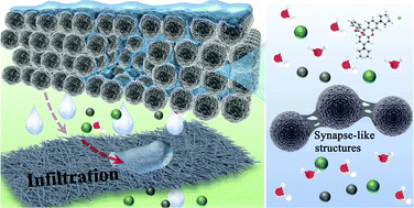 Graphical abstract: Absolute film separation of dyes/salts and emulsions with a superhigh water permeance through graded nanofluidic channels