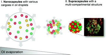 Graphical abstract: Multi-compartment supracapsules made from nano-containers towards programmable release