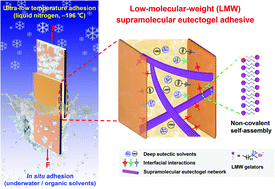 Graphical abstract: Low-molecular-weight supramolecular adhesives based on non-covalent self-assembly of a small molecular gelator