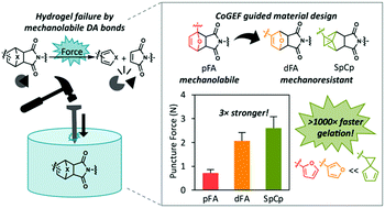 Graphical abstract: Rational mechanochemical design of Diels–Alder crosslinked biocompatible hydrogels with enhanced properties