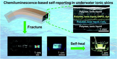 Graphical abstract: Self-reporting of damage in underwater hierarchical ionic skins via cascade reaction-regulated chemiluminescence
