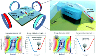 Graphical abstract: Tailoring matter orbitals mediated using a nanoscale topographic interface for versatile colloidal current devices