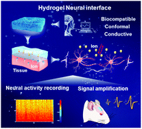 Graphical abstract: A mechanically adaptive hydrogel neural interface based on silk fibroin for high-efficiency neural activity recording