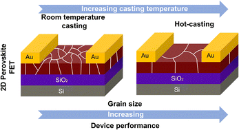 Graphical abstract: Grain engineering for improved charge carrier transport in two-dimensional lead-free perovskite field-effect transistors