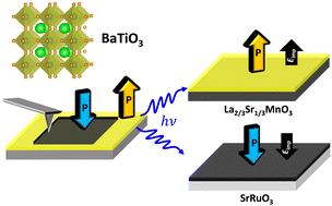 Graphical abstract: Control of up-to-down/down-to-up light-induced ferroelectric polarization reversal