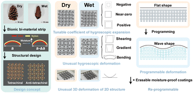 Graphical abstract: Moisture-sensitive mechanical metamaterials with unusual and re-programmable hygroscopic deformation modes