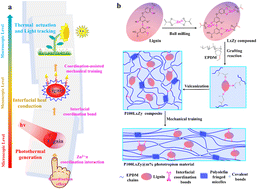 Graphical abstract: A fast-response biomimetic phototropic material built by a coordination-assisted photothermal domino strategy