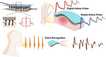 Graphical abstract: Capacitive–piezoresistive hybrid flexible pressure sensor based on conductive micropillar arrays with high sensitivity over a wide dynamic range